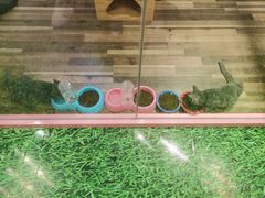 -吾悦广场(天津和平店)