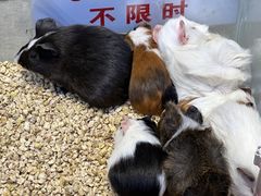 -万达广场(北京槐房店)