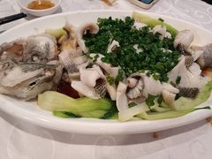 香葱灼鲈鱼-廣味潮鲜·一品潮滋味(五道口店)