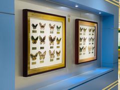 -上海昆虫博物馆