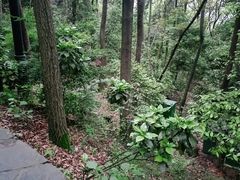 -岳麓山风景名胜区