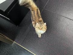 -TOP健身私教工作室(侨香店)