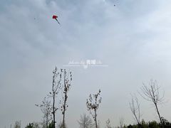 -汉长安城未央宫国家考古遗址公园