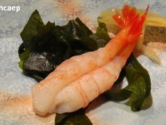 -松涛日本料理