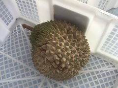-榴莲一条街