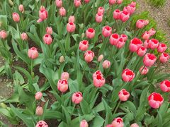 -西宁市人民公园(城西区)