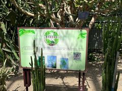 -南山植物园