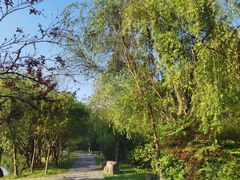 -贵阳市花溪国家城市湿地公园