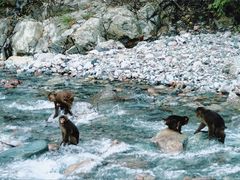 -西岭雪山大飞水景区