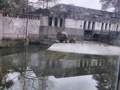 -成都动物园
