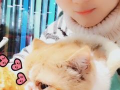 -芭比堂动物医院·犬猫全科·异宠专科(雁塔分院)