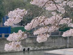 -红星桥(地铁站)