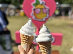 -陆家嘴中心绿地