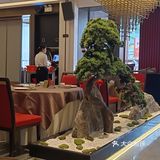 粤菜米其林‼️谁懂这一口的含金量……