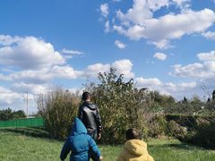 -泰生小镇旅游景区