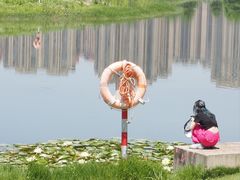 -洋湖国家湿地公园