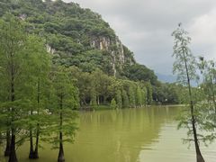 -星湖旅游景区七星岩