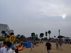 -碧海金沙