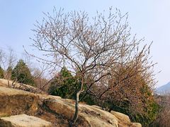 -白水寺森林公园