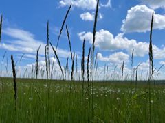 -呼和诺尔旅游景区