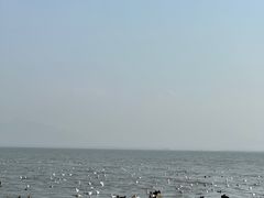 -深圳湾公园(南山区)