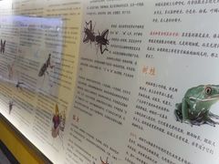-上海大自然野生昆虫馆(东方明珠·爬宠昆虫探索中心)