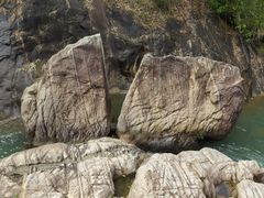 -广州白江湖森林公园