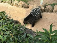 -乐和乐都主题乐园