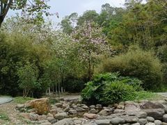 -火炉山森林公园