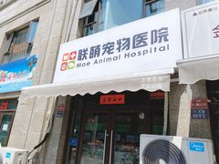 -联萌宠物医院(猫病专科)