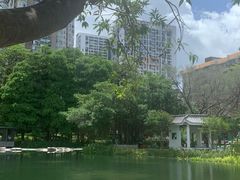 -四海公园(南山区)