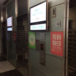 -净漪造型 PURE RIPPLE