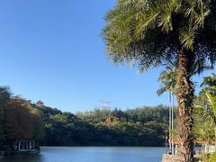 -深圳仙湖植物园