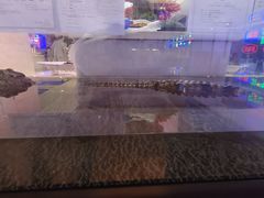 -海韵之星邮轮水会(明发商业广场店)