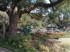 -申粤轩酒楼·三十年粤菜经典(丁香花园店)