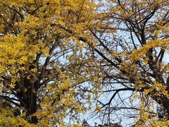 -佛荫寺