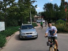 -绿堤公园