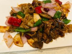 -丁老爷子苏香圆