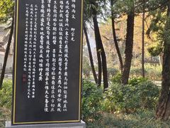 -柳侯公园