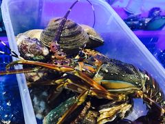 -小龍鳳·港式海鲜打边炉(沙湖路店)