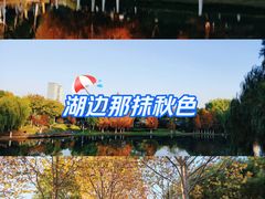 -滨湖塘西河公园