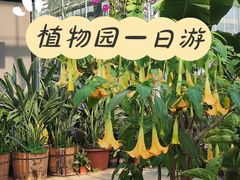 -国家植物园南园