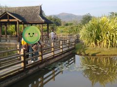 -中国科学院西双版纳热带植物园