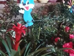 -鱼乐岛餐厅·户外花园主题餐厅