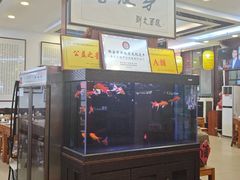 -春发芽葫芦头(科技二路旗舰店)