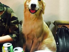 -百好乐宠物友好餐厅(朝外大街店)