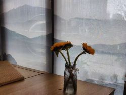 -宥莉·ULLY 痘敏肌•科技皮肤管理中心