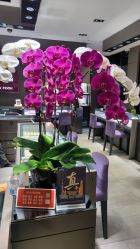 -周大福CHOW TAI FOOK(浦东八佰伴店)