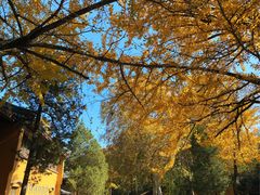 -紫金山山顶公园