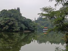 -深圳仙湖植物园